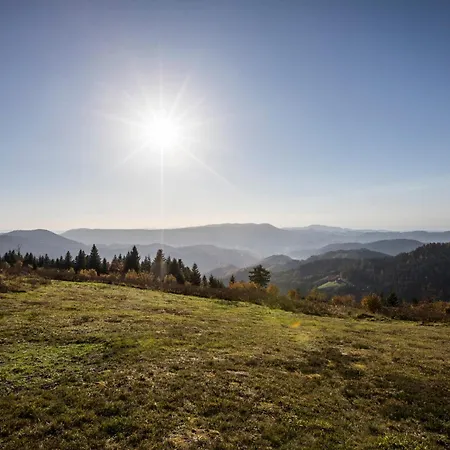 Wellness & Genuss - Engel Obertal