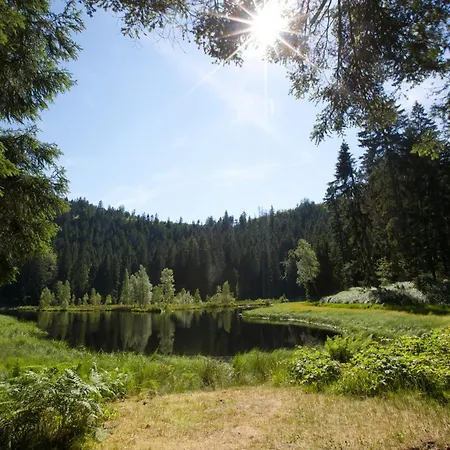 Wellness & Genuss - Engel Obertal Hotel Baiersbronn