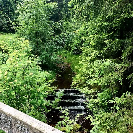 Wellness & Genuss - Engel Obertal Hotel