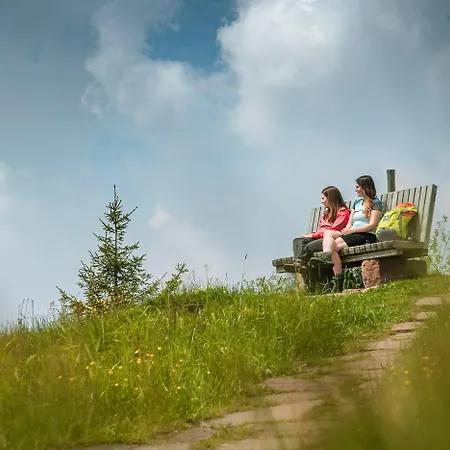 Wellness & Genuss - Engel Obertal Отель 5*