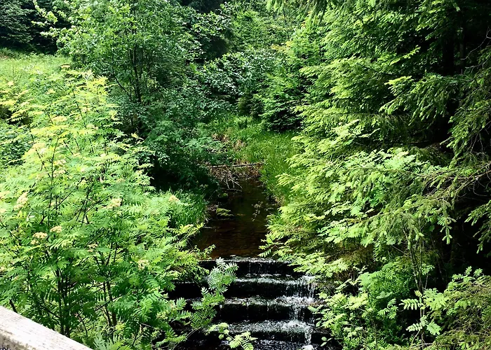 Wellness & Genuss - Engel Obertal Hotel